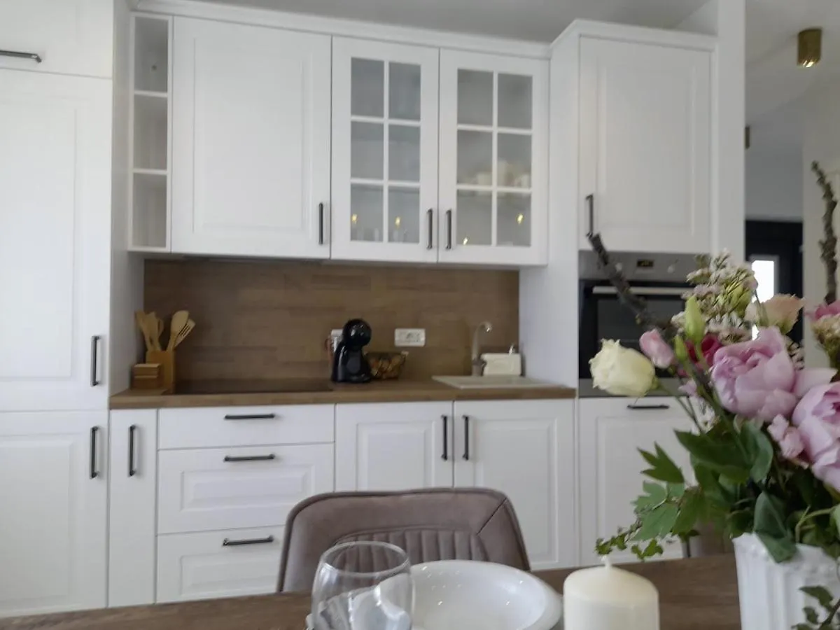 Villa Stare Brajde In Vela Traba - Haus Fuer 6 Personen Pazin 0*,